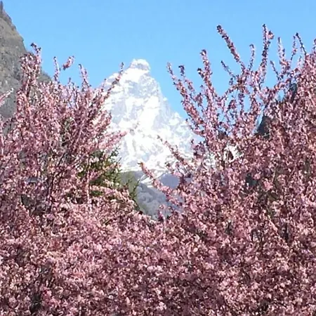 Spectacular Mountain Hideaway Appartamento Antey-Saint-André